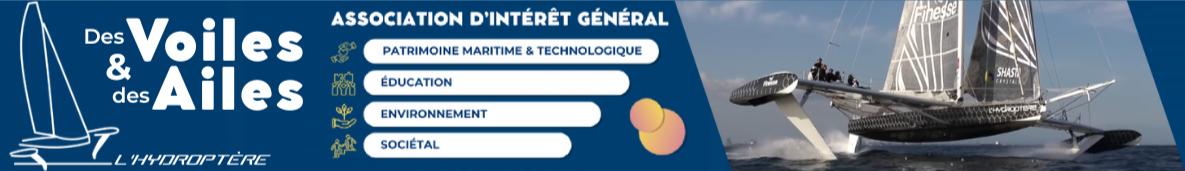 Logo de l'association Des Voiles et des Ailes